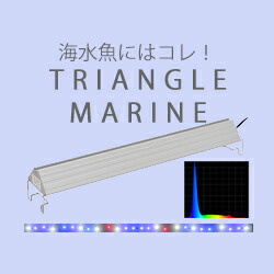 楽天市場】アクロ TRIANGLE LED BRIGHT 600 専用