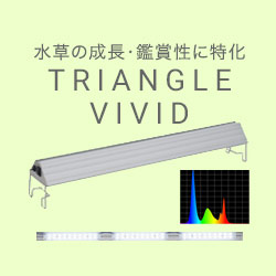 楽天市場】アクロ OVAL LED 600 3250lm BRIGHT