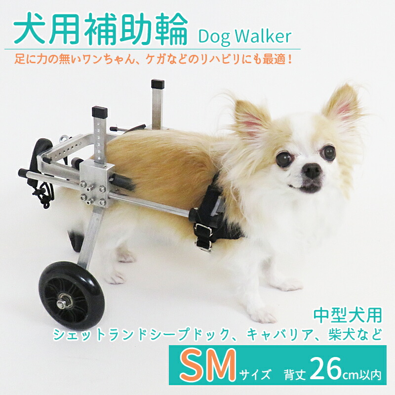 楽天市場】【2個で4%off☆SALE】犬用補助輪 Mサイズ 犬用車椅子 中型犬