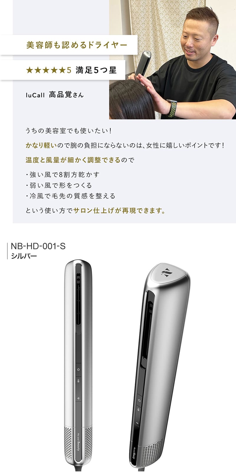 楽天市場】ノーエンド ドライヤー エアーブロースティック シルバー NB