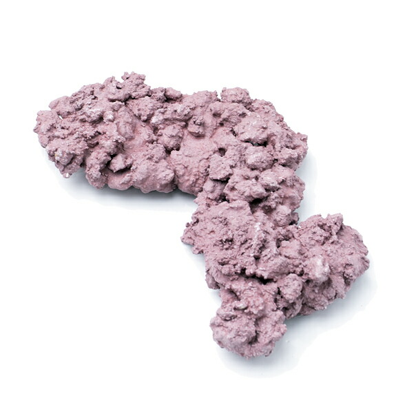 楽天市場】マメライブロック 2/3プレート : CEPPO WEB SHOP