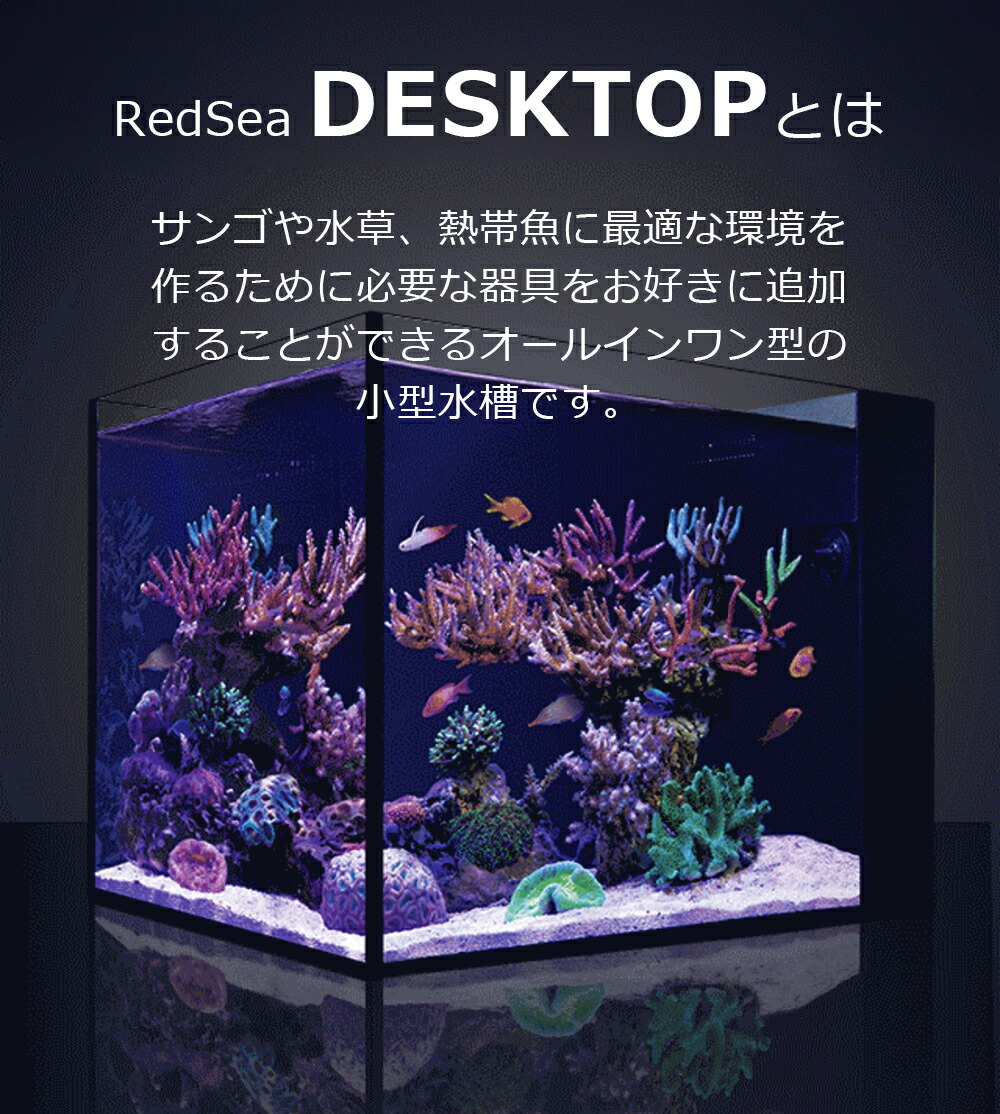楽天市場】レッドシーDESKTOP Peninsulaデスクトップ ペニンシュラ+