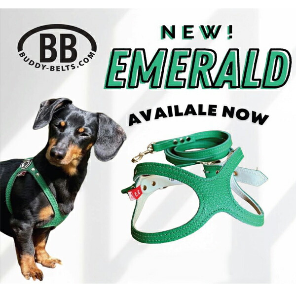 バディーベルト ハーネス 3.5号 Emerald エメラルド スワロ胸1個のみ