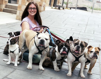 胴輪 ハーネス バディベルト 3.5号 ラインストーン付 スワロフスキー付