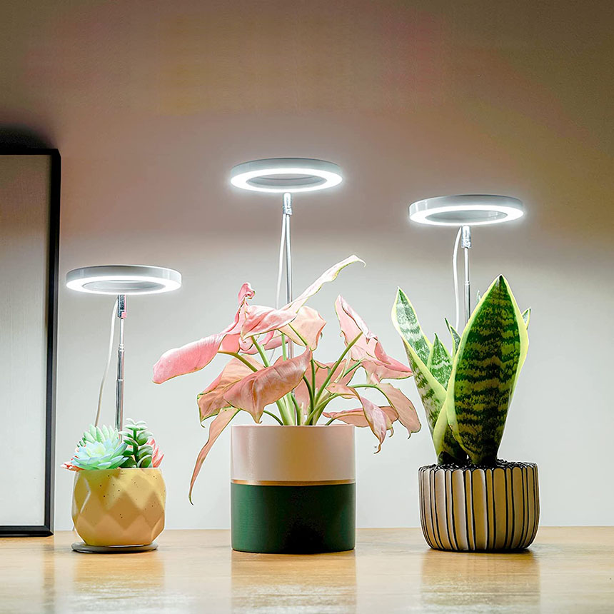 癒し植物ナイトライトグロウライト付き多肉植物の鉢 植物育成 LED USB