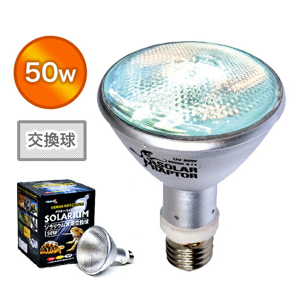 楽天市場】SOLAR RAPTOR HIDランプ 35W ソーラーラプター ソーラー