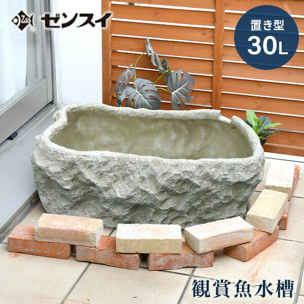 楽天市場】ウォータークリーナー コメットDX コメットデラックス 池用