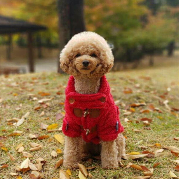 楽天市場】犬服 ダッフルコート 暖かボア トグルボタンコート アウター