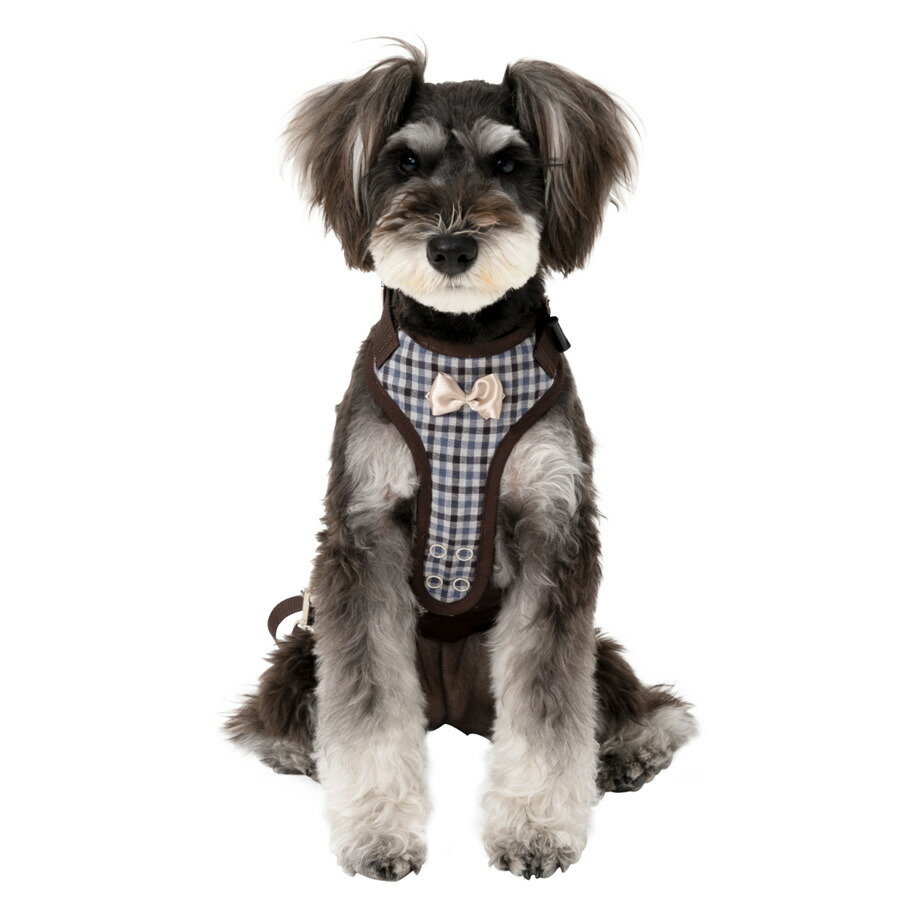 楽天市場】【送料無料・同梱不可】歩行補助ハーネス LaLaWalk 小型犬