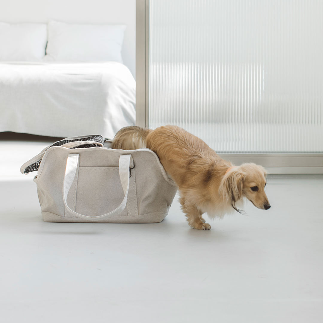 free stitch キャリーバッグ M ベージュ Balcordy Carry Bag | NEWS | フリーステッチ free stitch