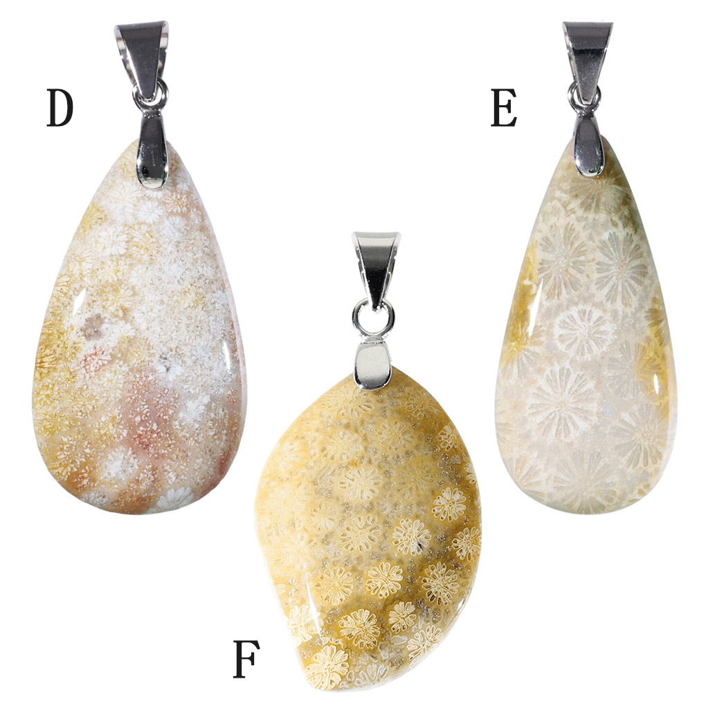 楽天市場】フォシルコーラル シルバー ペンダントトップ 数量限定