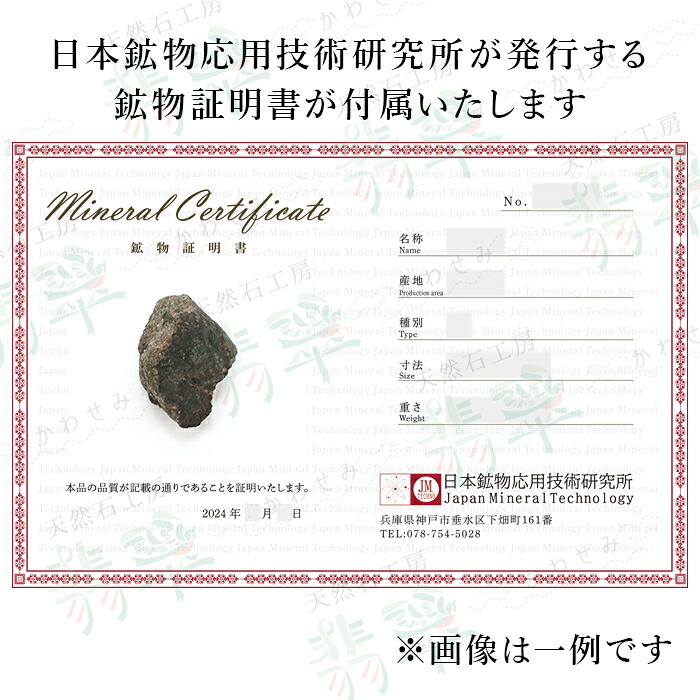 火星の石！シャーッゴッタイト NWA 12594 隕石標本 大