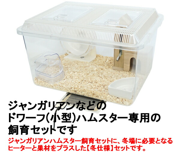 楽天市場】ジャンガリアンハムスター飼育セット【冬仕様】 : 小動物