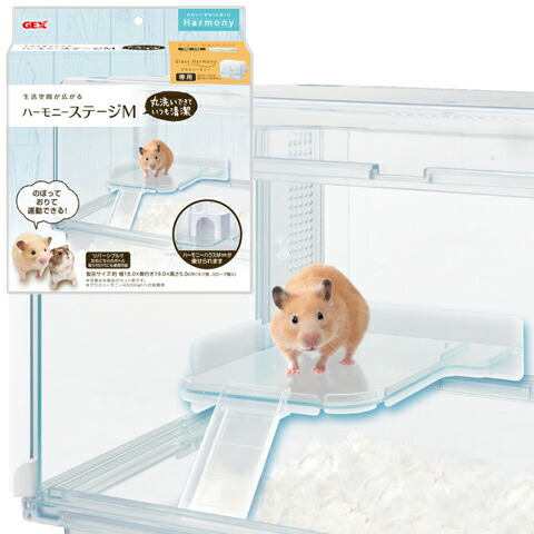 グラスハーモニー600N/ゴールデンハムスターケージ キンクマ