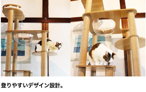 楽天市場】【送料無料】猫家族 キャットタワー 木製 高さ180cmスリム