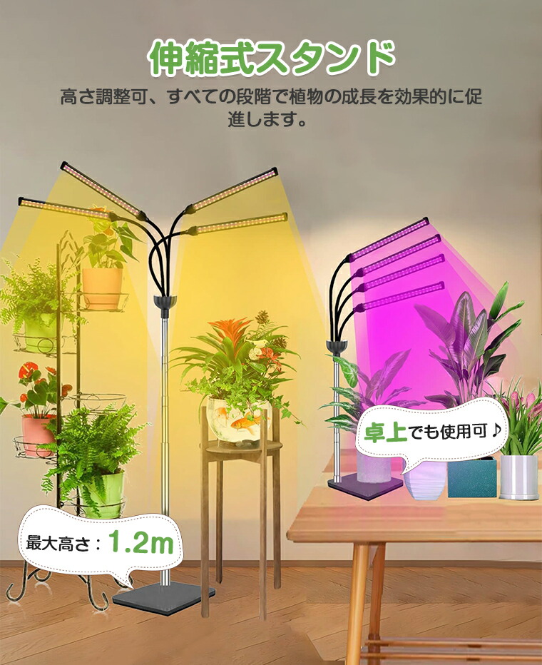 引退品 植物育成セット4点 引退品 植物育成セット4点 楽天市場】水耕