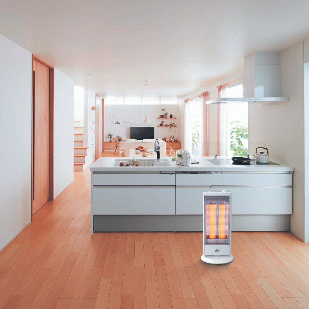 楽天市場】【2025 年間ベストショップ受賞】アラジン グラファイト