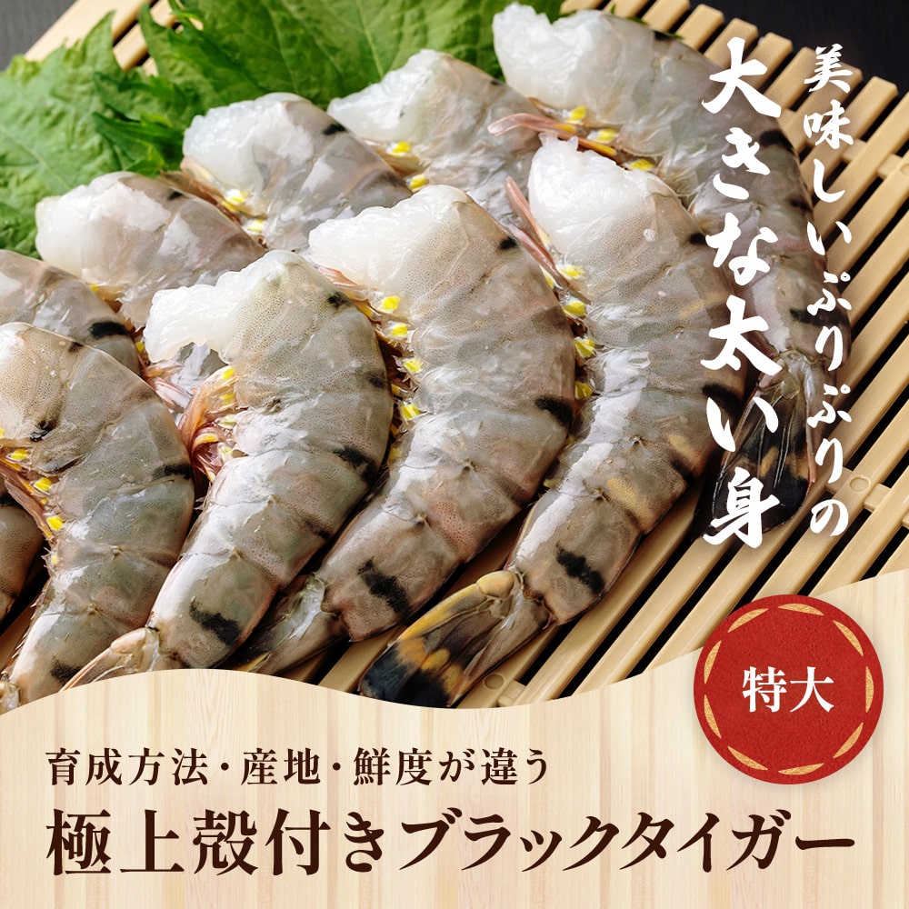 楽天市場】冷凍エビ 特大エビ 1.8kg 約55尾 ブラックタイガー 送料無料