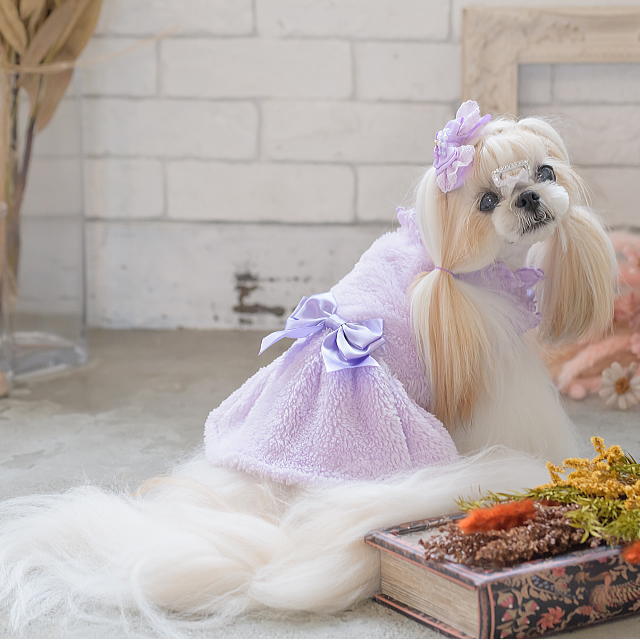 楽天市場】犬服 秋服 きゃんナナ ウエストサテンリボンボアワンピース