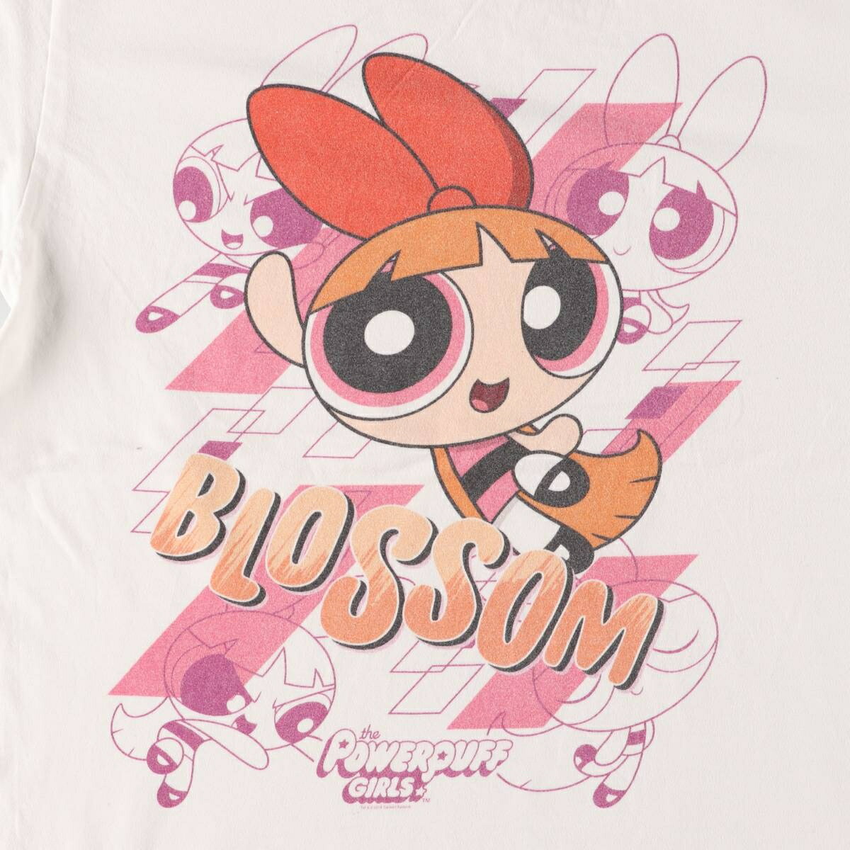 古着 PORT&COMPANY THE POWERPUFF GIRLS パワーパフガールズ