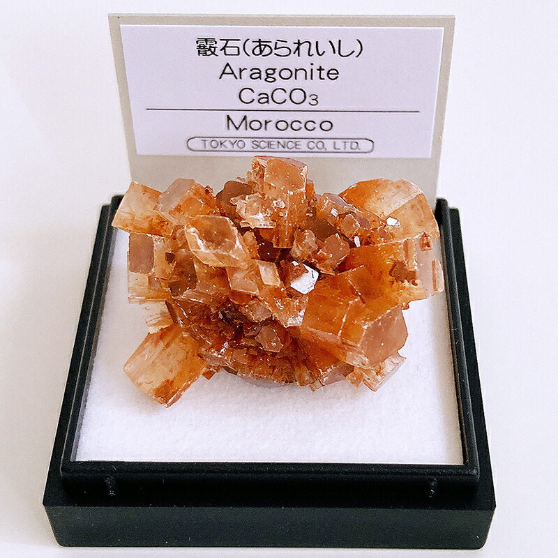 楽天市場】金鉱石 （鹿児島県伊佐市） 鉱物 標本 東京サイエンス ミニ