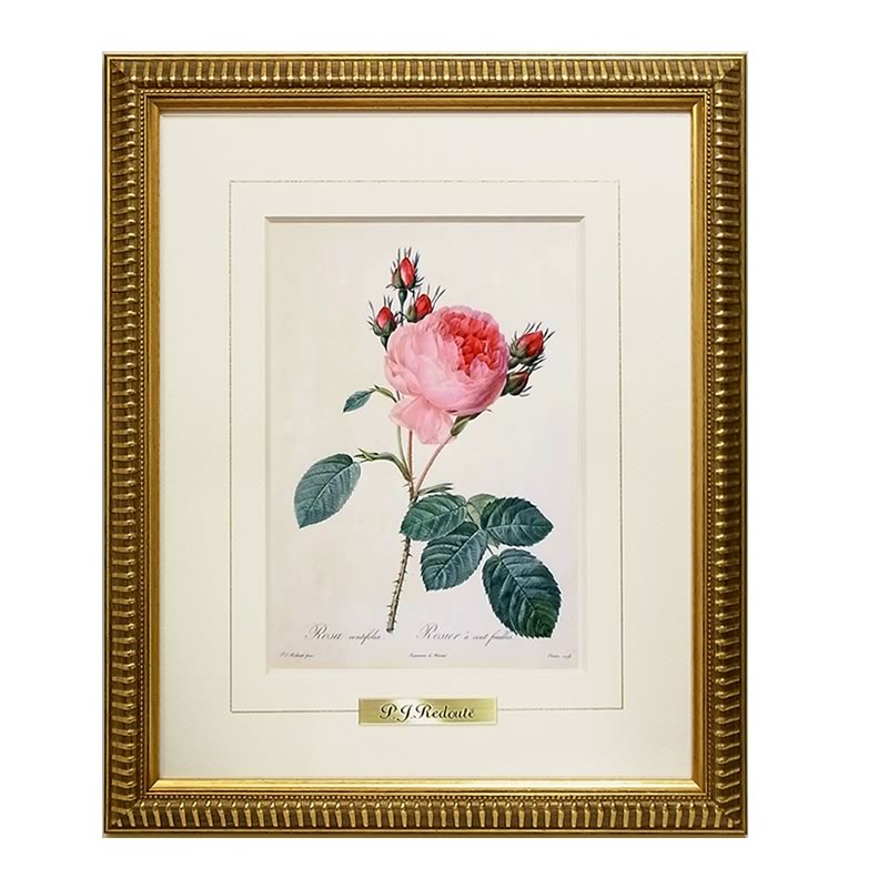 他の方発送×【薔薇】 肉質画 他の方発送×【薔薇】 肉質画