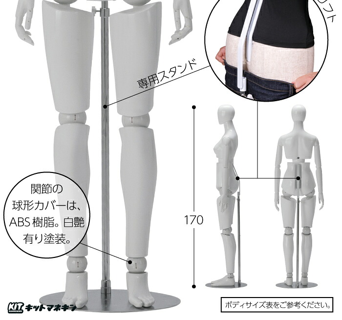 楽天市場】全身可動マネキン 婦人 可動アーム Newサンドール ウエスト