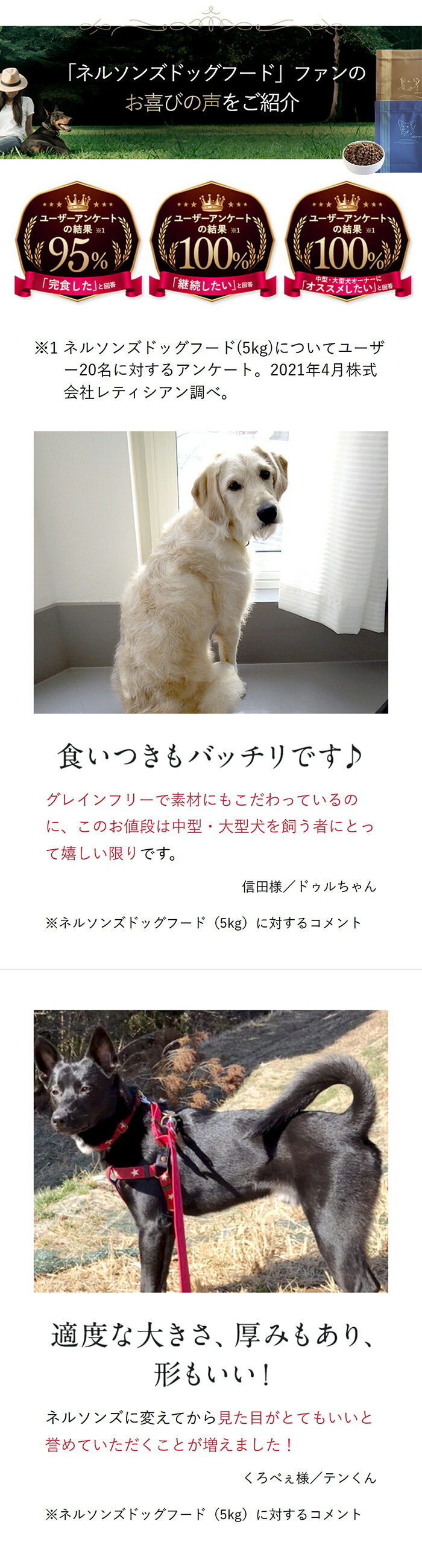 楽天市場】【公式】ネルソンズ ドッグフード（5kg）全犬種・全年齢対応