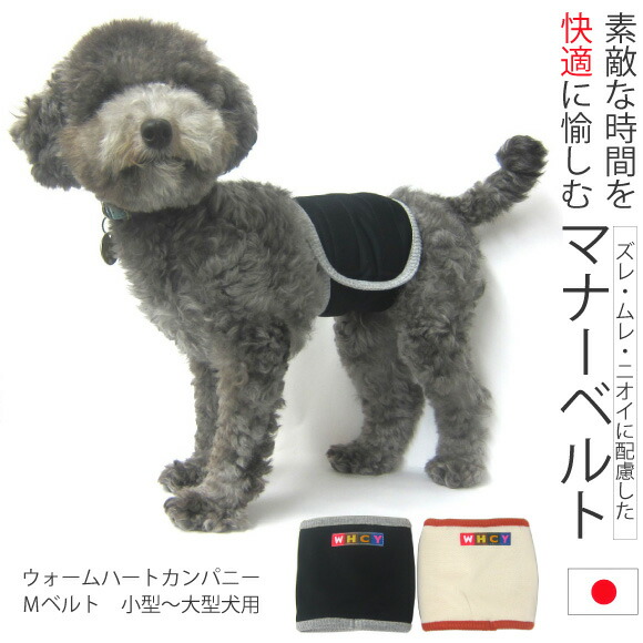 楽天市場】Mベルト XS～L マナーベルト マナーウエア 男の子 オス