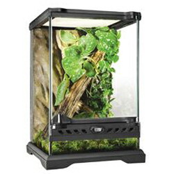 GEX EXOTERRA グラステラリウム3045 PT260 おまけ付き グラス