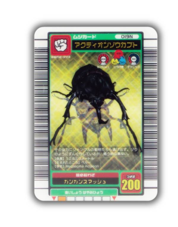 楽天市場】【ヘルクレスリッキーブルー(アダーコレクション)】甲虫王者