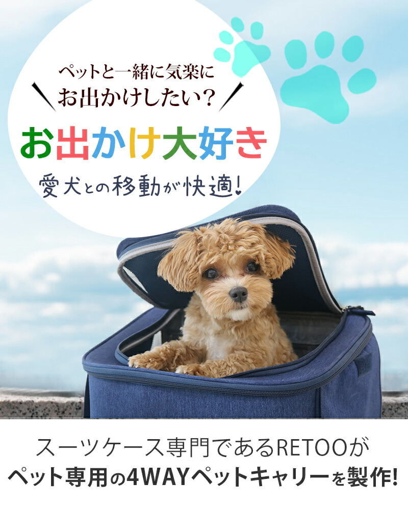 楽天市場】【15%OFFセール】ペットキャリー（NEWバージョン）リュック