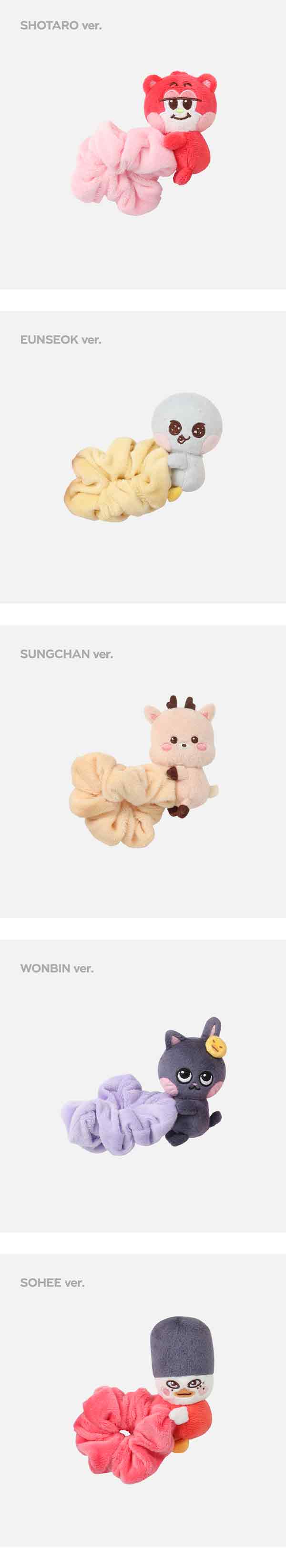 新品未開封】 RIIZE SCRUNCHIE シュシュ 6種 コンプ