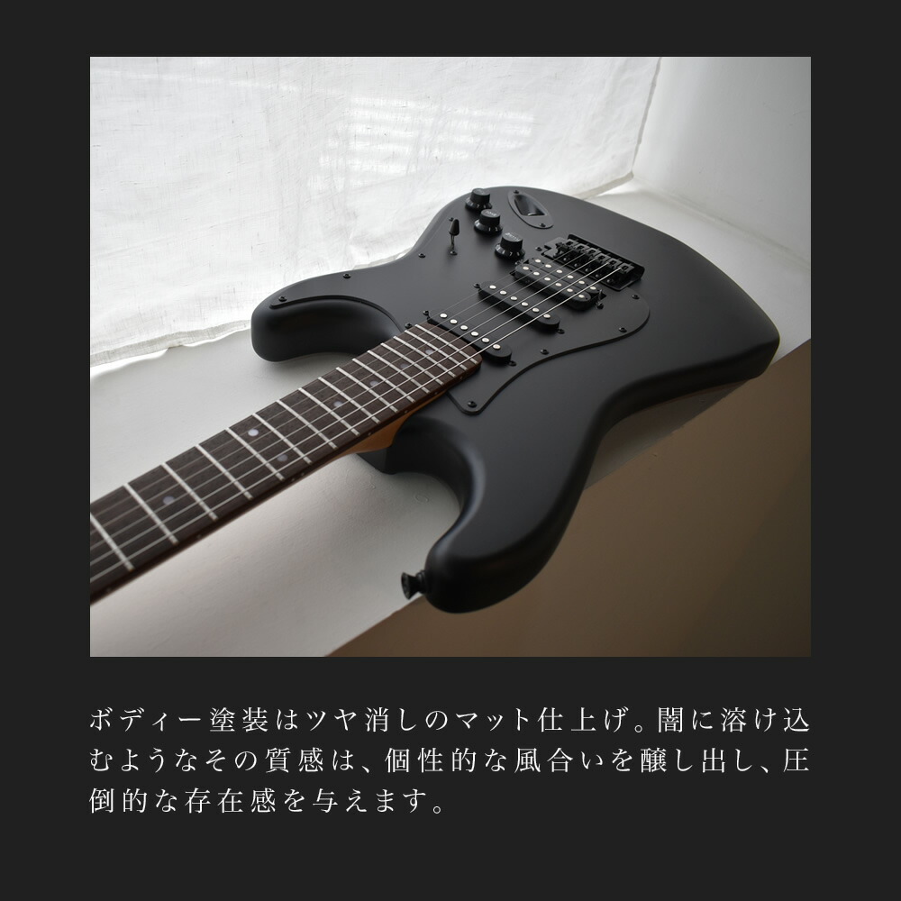 楽天市場】エレキギター SELDER STC-04 単品(ソフトケース付属