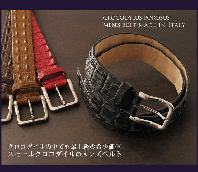 新品未使用)ピアジェ ポセション 替えベルト グレージュクロコ 丸符