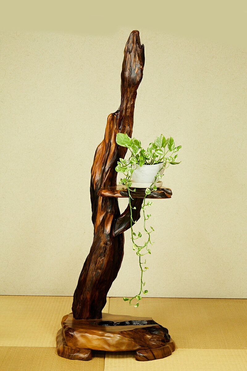 楽天市場】屋久杉 棚 玄関仕様：無垢 / 材料：屋久杉（飾り棚 飾り台