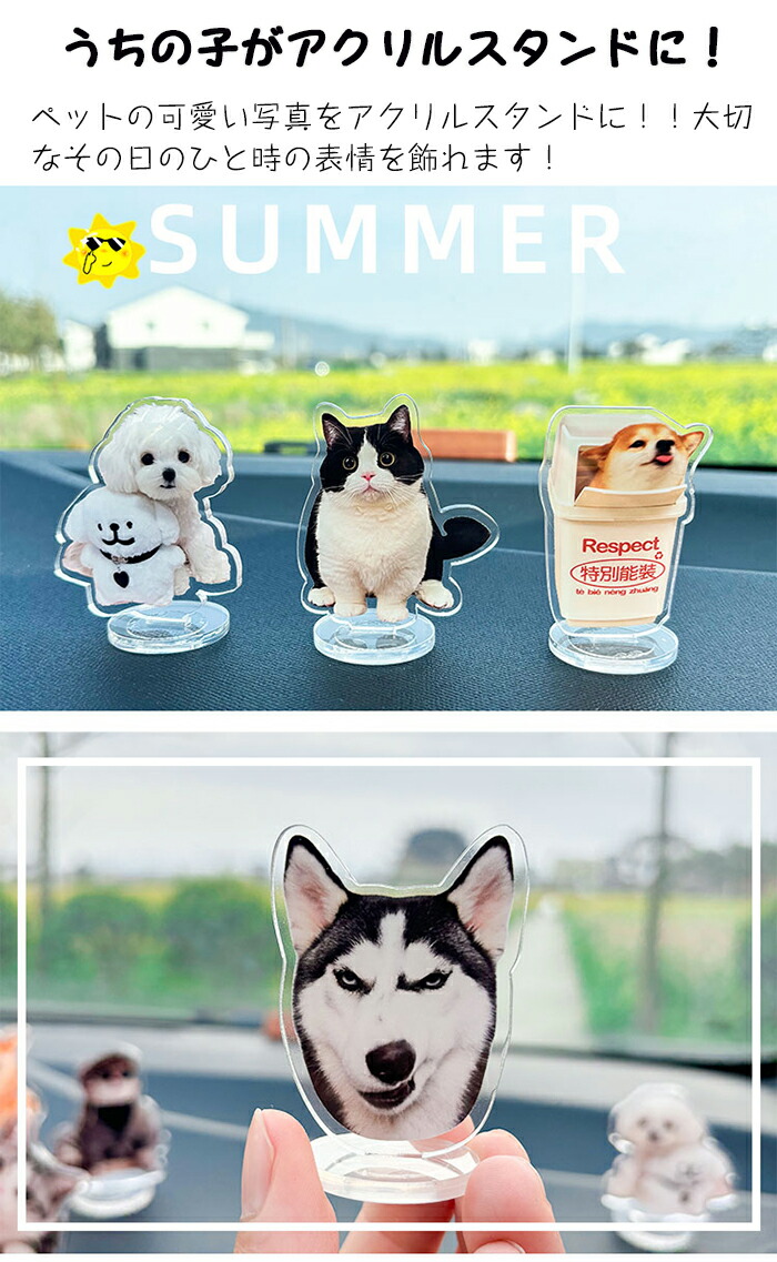 楽天市場】アクリルスタンド 写真 ペット オーダーメイド 写真入れ 車