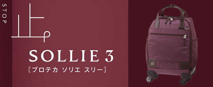 楽天市場】【機内持込可能】【日帰り-1泊対応】 ACE PROTECA／プロテカ