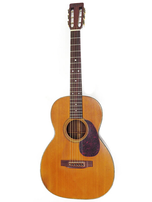 エレアコースティックギター プロマーチン Pro Martin