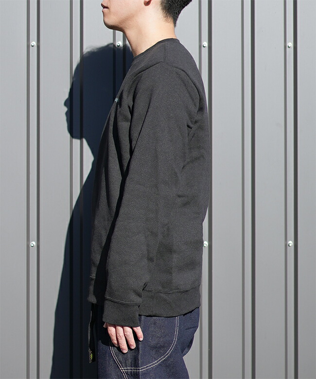 国内正規販売店】[39667]Patagonia(パタゴニア)フィッツロイ・アイコン