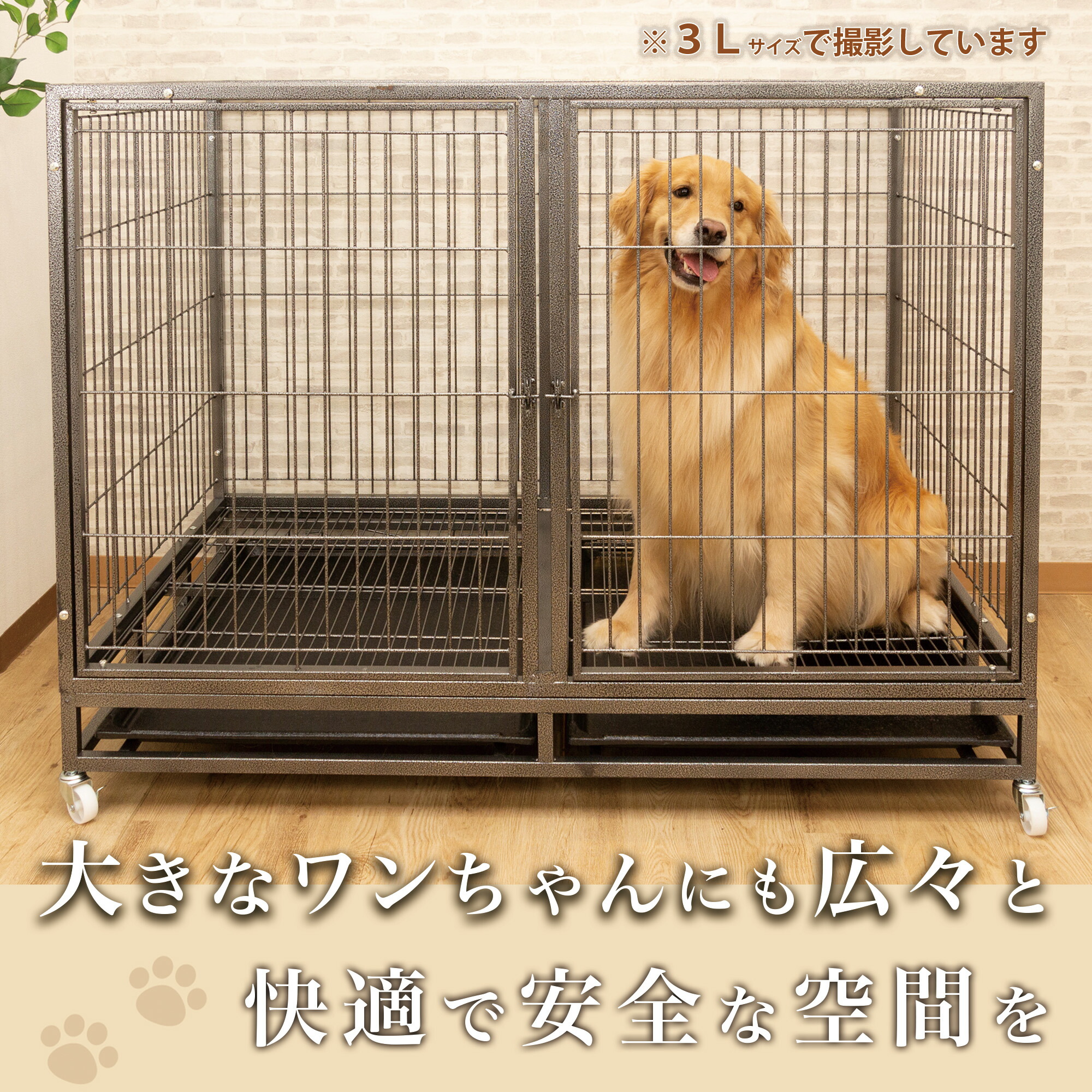 楽天市場】【感謝祭セール!!】【ペットホテル、動物病院等でも採用】幅