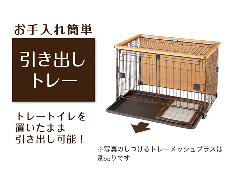 楽天市場】【LINE追加で500円OFF！】ボンビアルコン ダブルワン