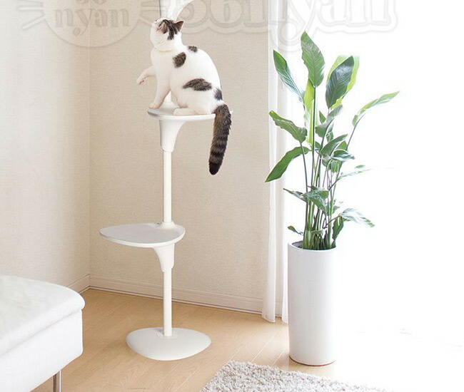 楽天市場】OPPO CatForest2 キャットフォレスト2 ホワイト (04344) Cat