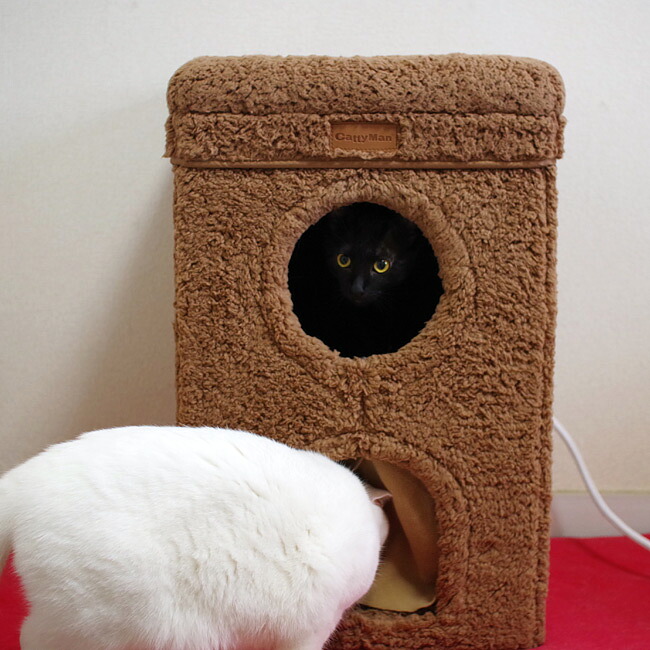 楽天市場】【セール対象品】キャティーマン HOT HOME ネコの暖かい