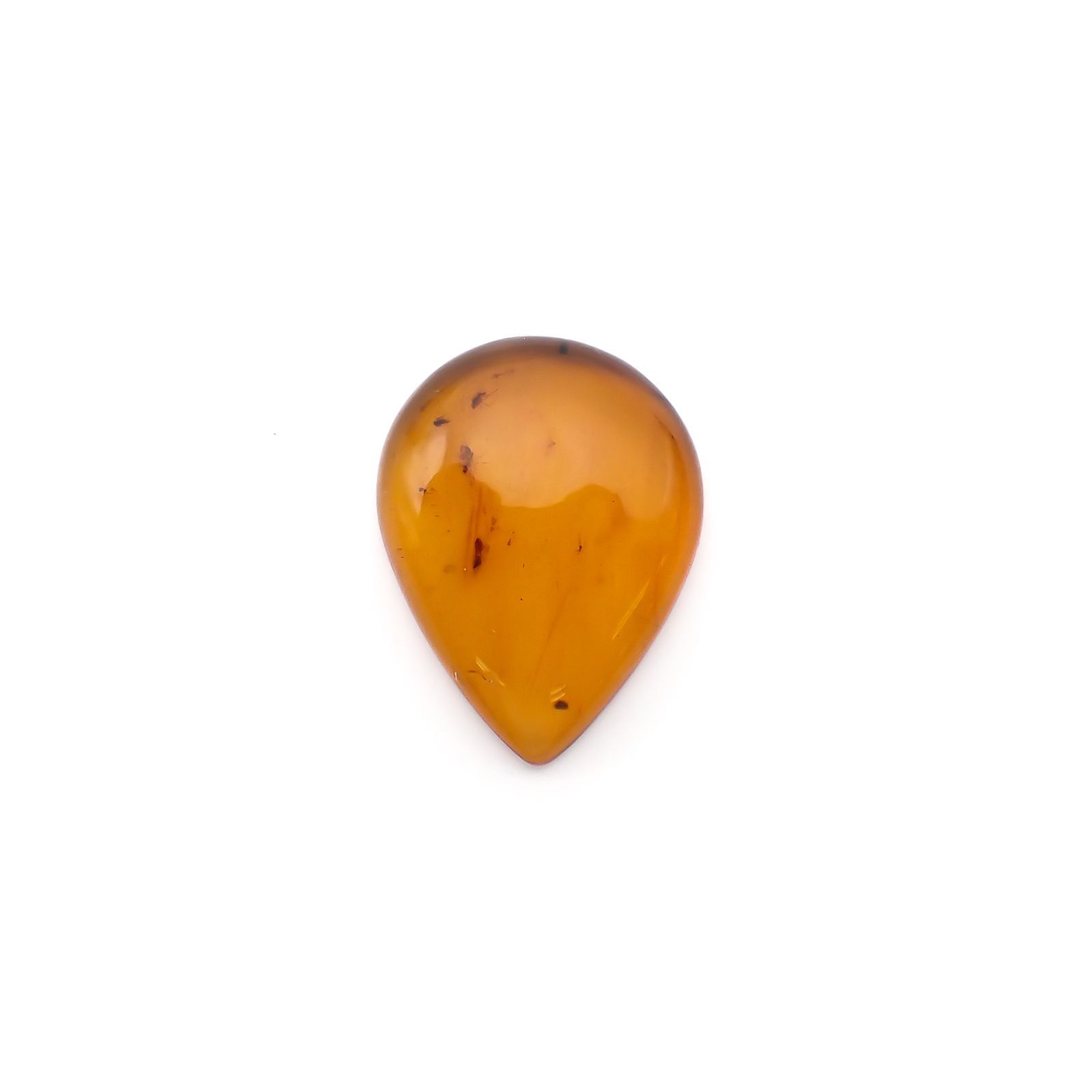 虫入り琥珀 コロンビア産 24.13ct / 35.6x27.2mm前後 [221018551