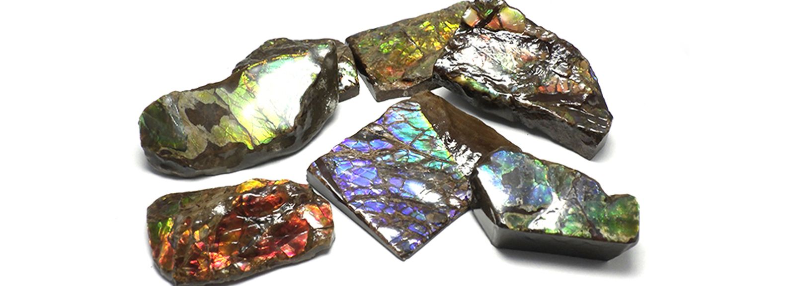 太古の海が遺した奇跡の宝石・アンモライト｜悠久の時に育まれた虹色の