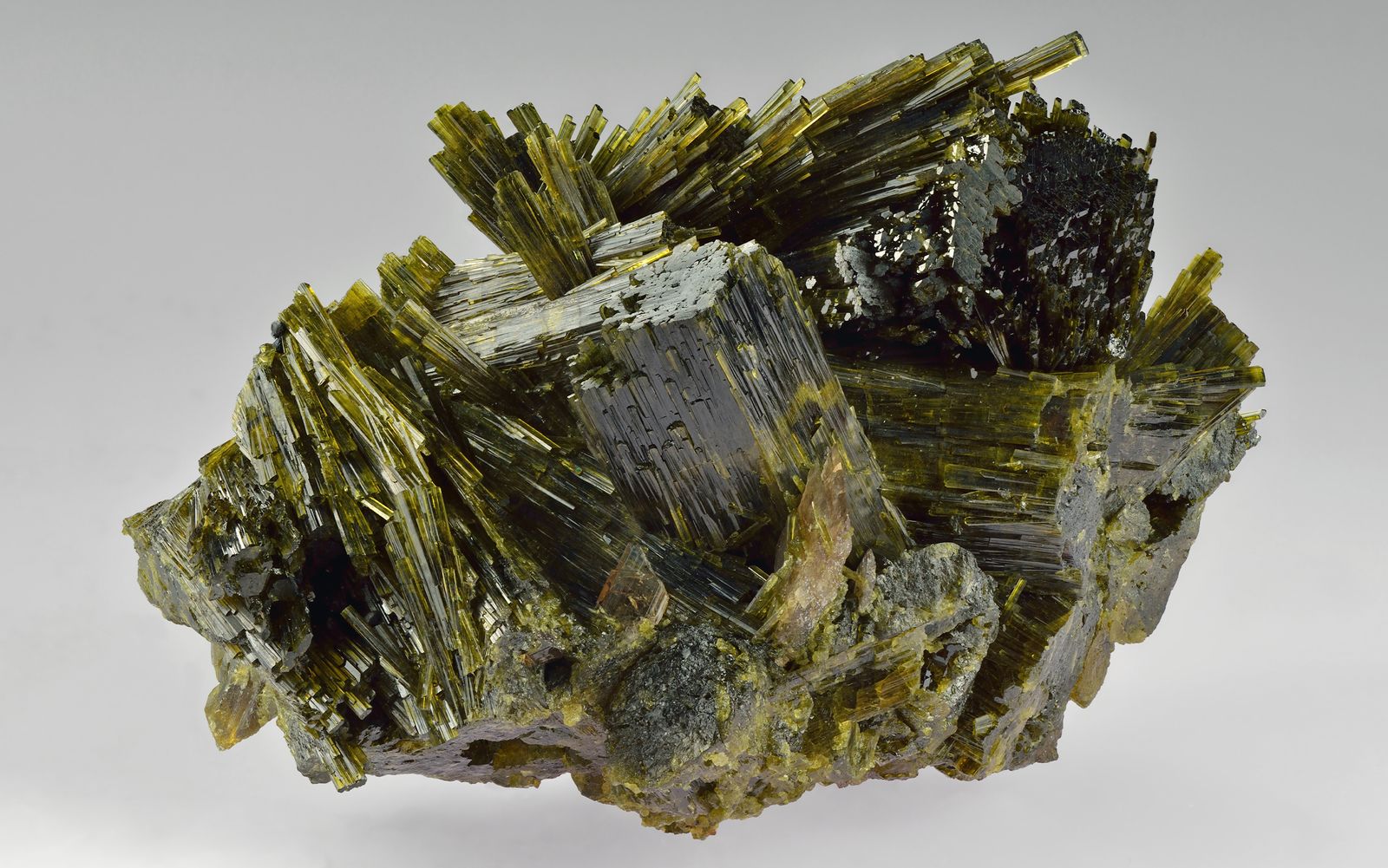 エピドート】シックな美しさ×多彩な表情 | その魅力や特徴を紐解く