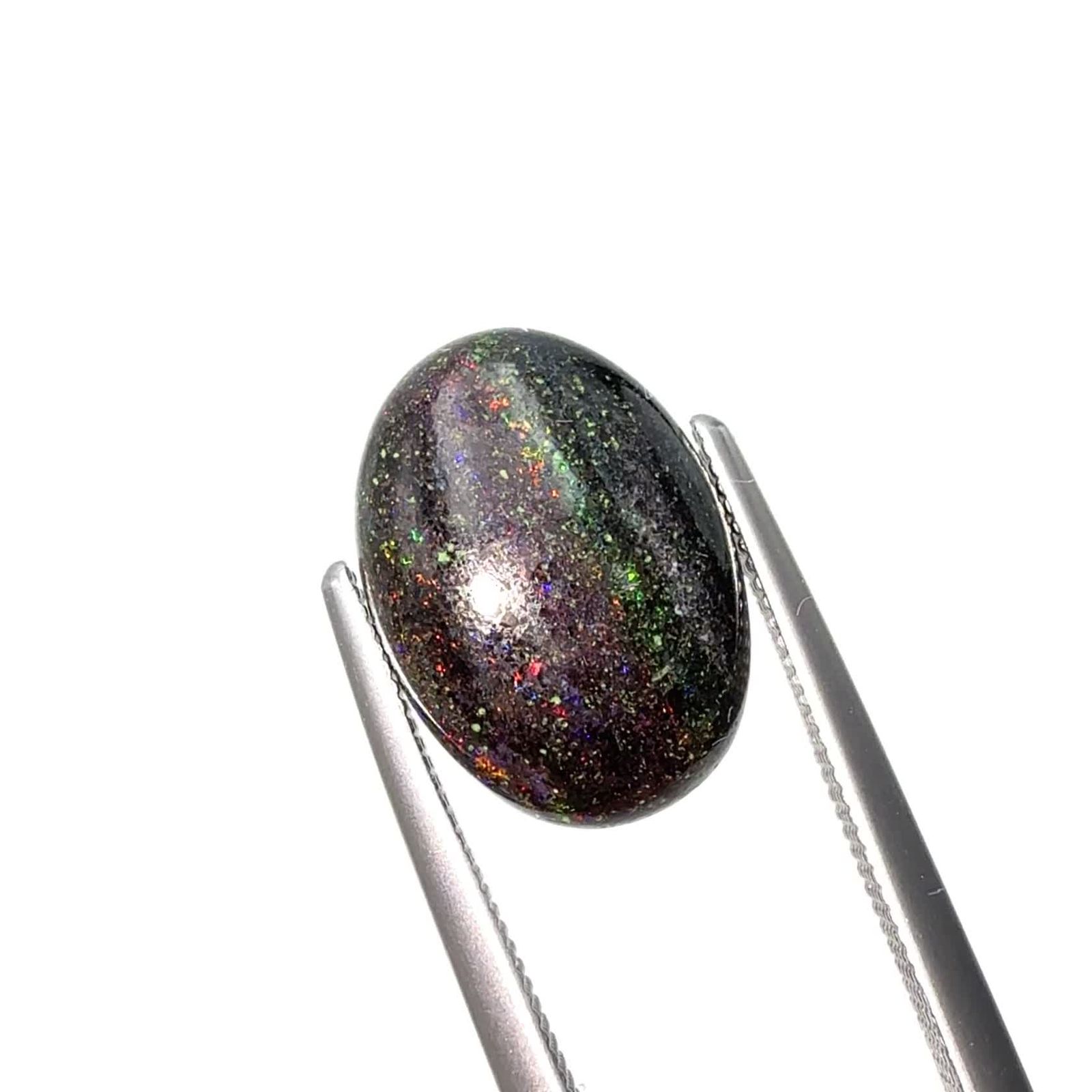 表面艶々 逸品！ 大型重厚 188g 鮮やかなオパール化 アンモナイト化石