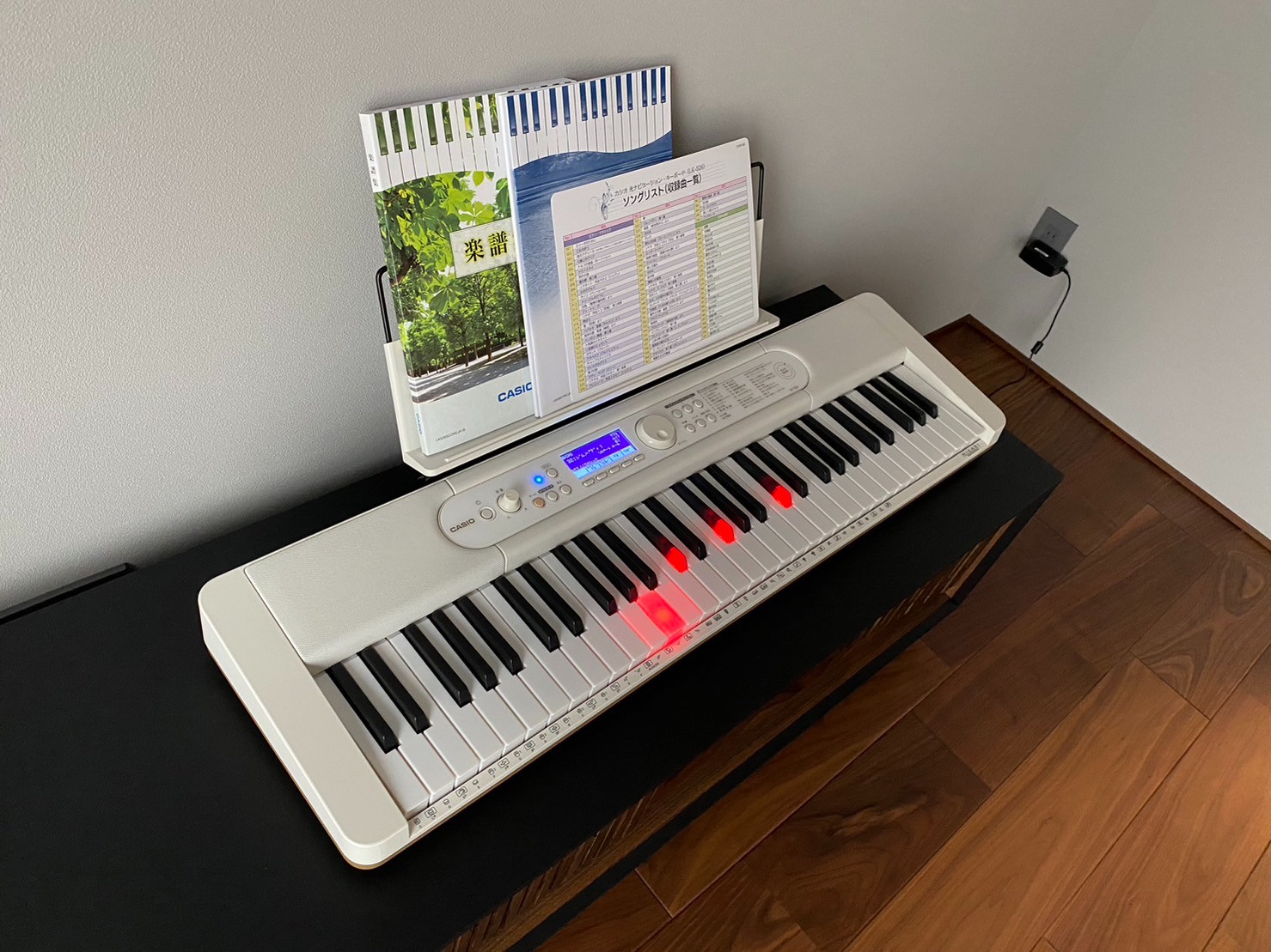 CASIO 楽らくキーボード カラオケマイク付き LK-526 61鍵 CASIO 楽