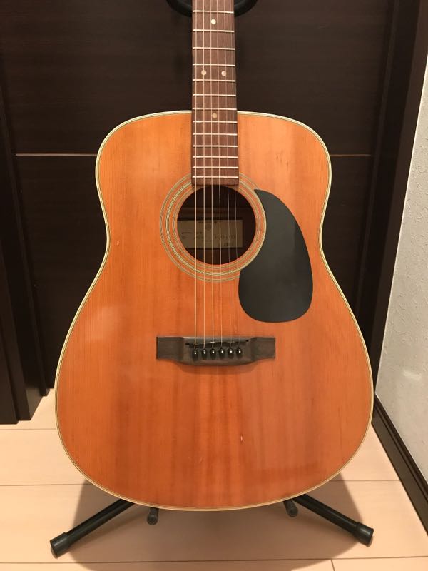 ギターの紹介 SUZUKI VIOLIN F-130 L | y-feel-happyの人生がより